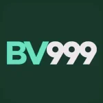 bv999-game